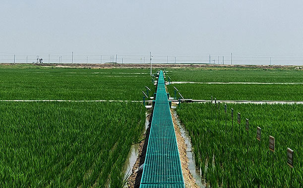 你需要哪款農藥殘留檢測儀？